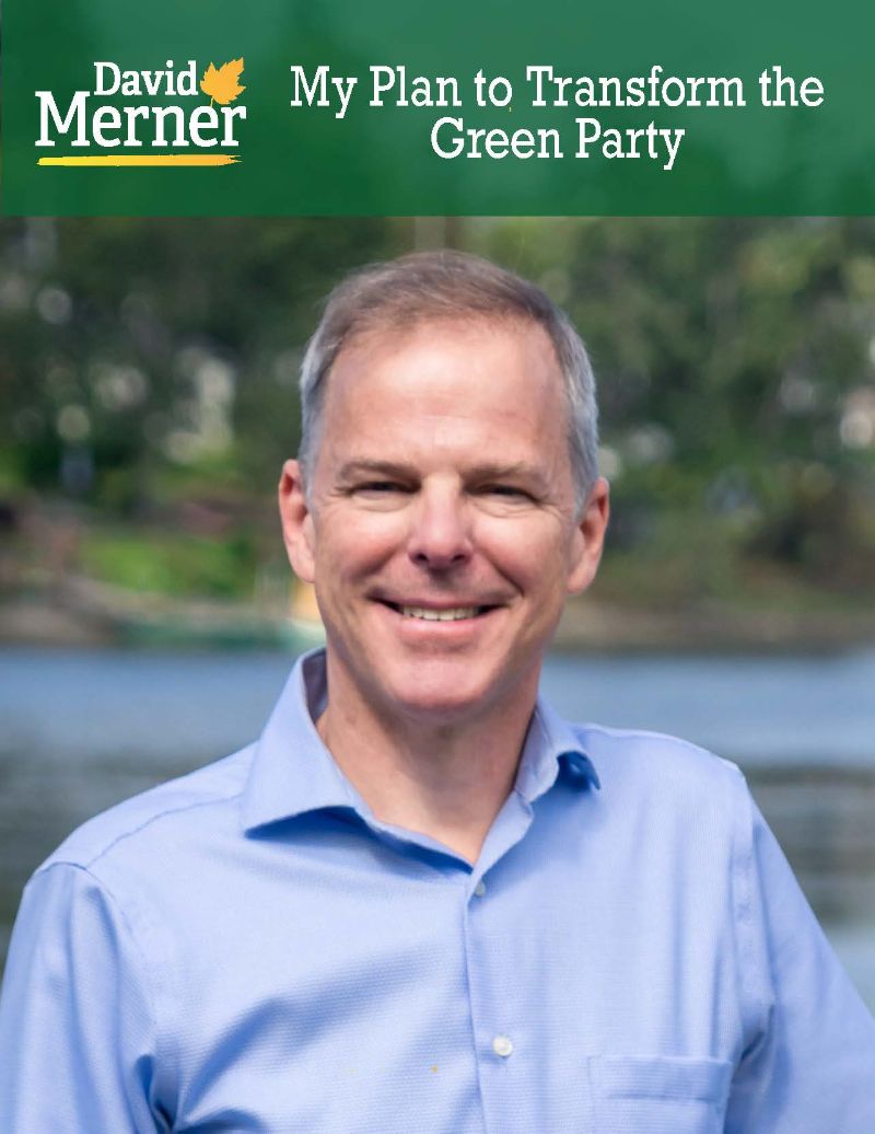 397b430a-a1e8-4e74-a333-37af7f1c06f8 A Plan for Transforming the Green Party